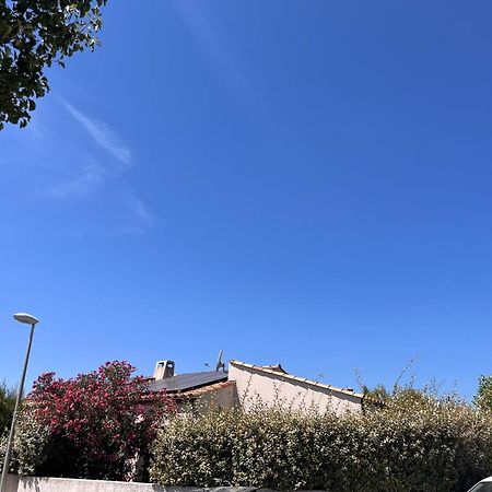 Villa Des Romieux Pinet  Exteriér fotografie